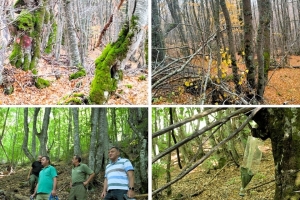 Усогласување на практиките во шумата Вртшка на Националниот парк Пелистер