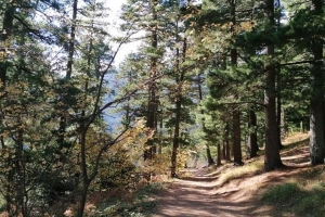 Развивање на  еколошката свест со ученици од ОУ Елпида Караманди – С.Цапари