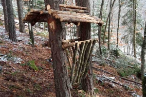 Поставени се нови хранилки во Националниот парк Пелистер
