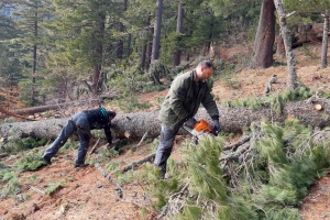 Поради силни удари од ветер и обилни врнежи на снег одстранети повеќе од 100 паднати дрва